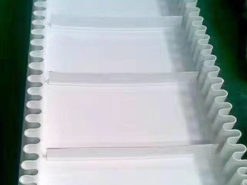 食品行業輸送機,不銹鋼食品輸送機 食品行業輸送機,不銹鋼食品輸送機