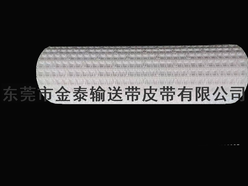 塑膠輸送網帶