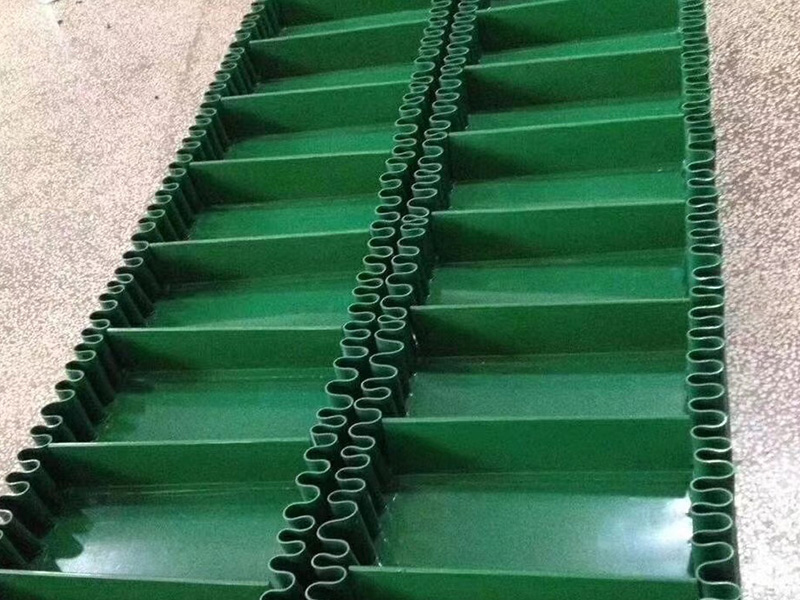 食品行業(yè)皮帶輸送機